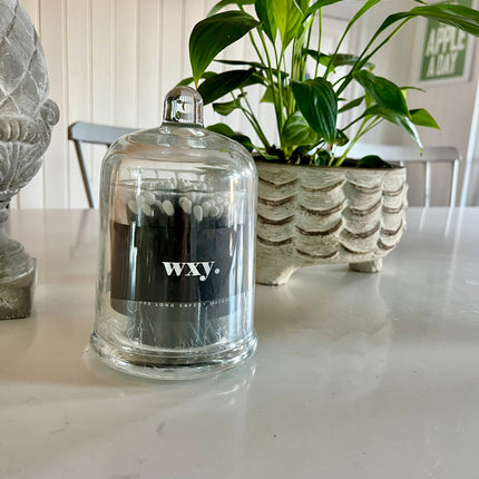 Glass Cloche Matches