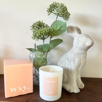 Amber, musk + white woods fragranced candle