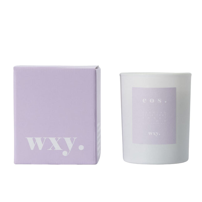 Jasmine, lime, orris root + amber fragranced candle