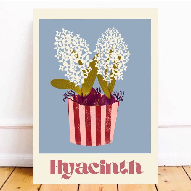 Pretty Potted White Hyacinth Print